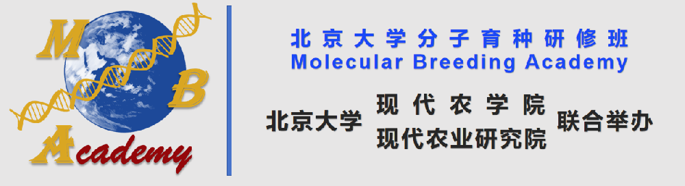 311b6cdd36d88edc4c730e57d2a26c38.png